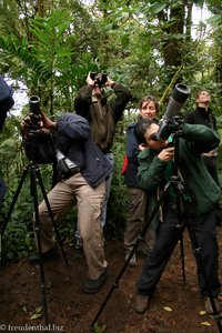 typische Szene im Nationalpark Monteverde