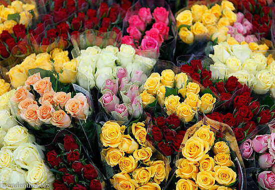 Beim Blumenmarkt auf dem Stortorvet