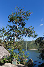 Ausblick vom Restaurant Rio Negro auf den Embalse Hanabanilla