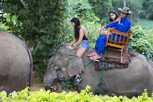 Elefantenreiten im Elephant Village