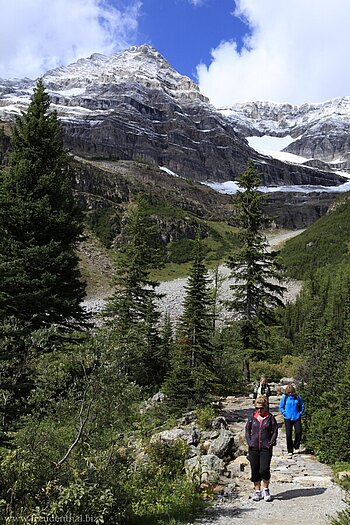 Plain of Six Glaciers im Banff Nationalpark