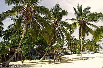 Palmenstrand auf der Cayo Levantado