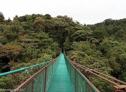 Hängebrücken im Selvatura Park