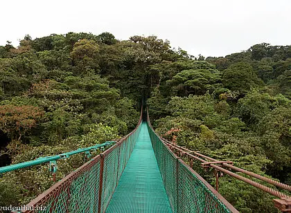 Hängebrücken im Selvatura Park