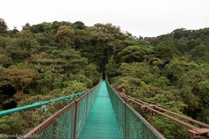 Brücke 4 ist geschafft - Selvatura Park