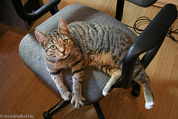 der Bezug musste inzwischen gewechselt werden