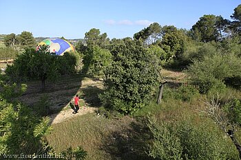 Auf einem Zitronenbaum endet unsere Ballonfahrt