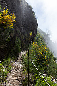 auf dem Weg zum Pico das Torres