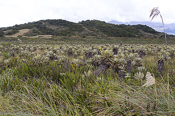 hoch oben im Puracé Nationalpark von Kolumbien