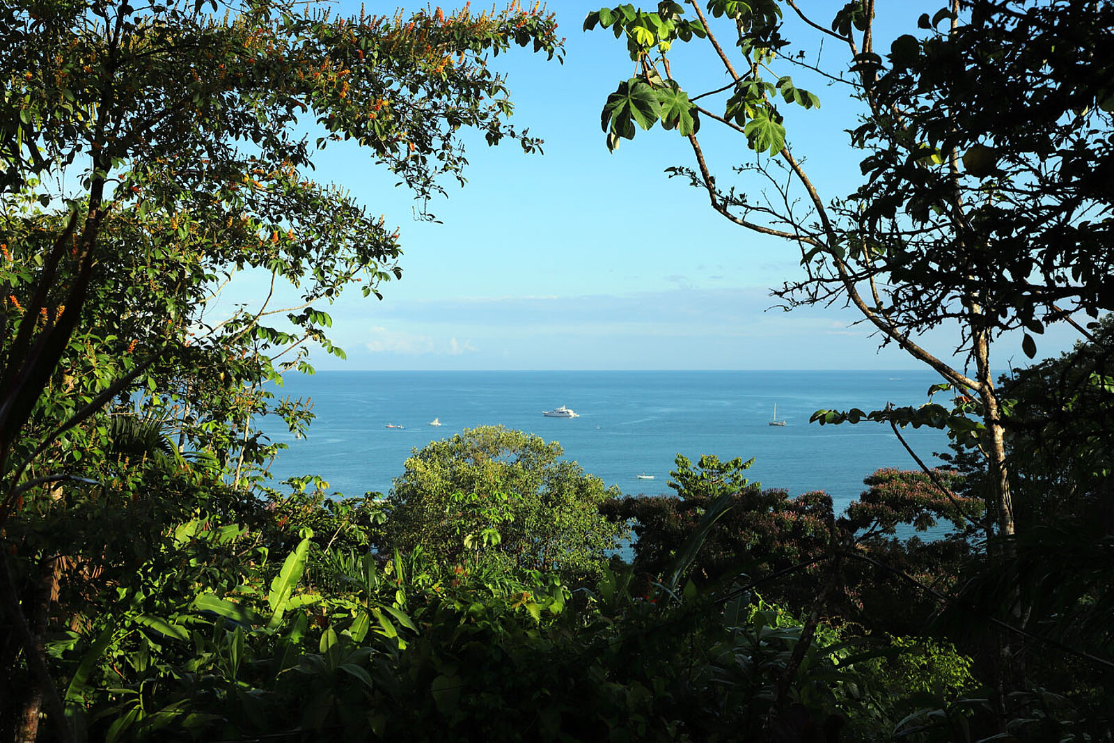 Aussicht über die Bahía Drake auf der Península de Osa vor der Pazifikküste Costa Ricas