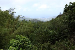 Grenada, Blick vom Inland auf den Grand Anse