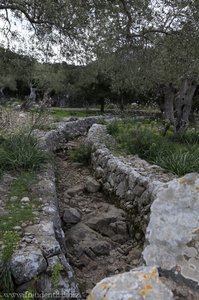 trocken gefallene Gräben auf dem Gelände der Finca Mossa