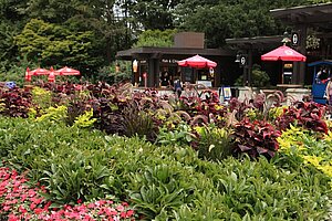 beim Prospect Point Stanley Park Vancouver