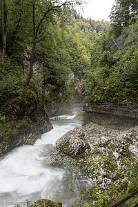 Tosendes Wasser bei Regen in der Vintgar Klamm.