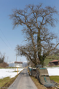 Wanderweg von Fisteren nach Schornen