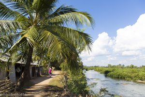 Radtour entlang der Palmen auf Don Khon in Laos