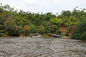 Unterwegs auf dem Sierpe River