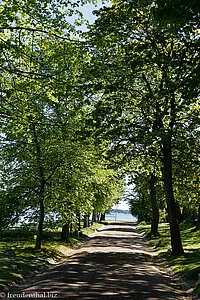 Allee auf der Iso Mustasaari