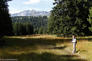 Auf dem Moorweg zwischen Alp Looch und Arvenbüel