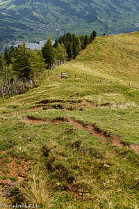 Pfad von Scheidegg nach Gätterli