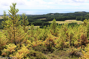 Blick von einer Anhöhe über die Landschaft von Terceira