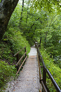 Ein schöner Pfad führt hinein in die Vintgar Klamm.