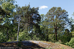 Granitfelsen auf Seurasaari