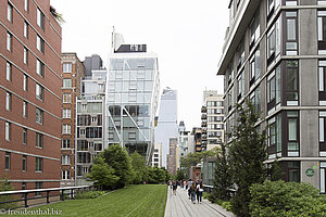 Rasenfläche für Picknick beim High Line Park in Chelsea