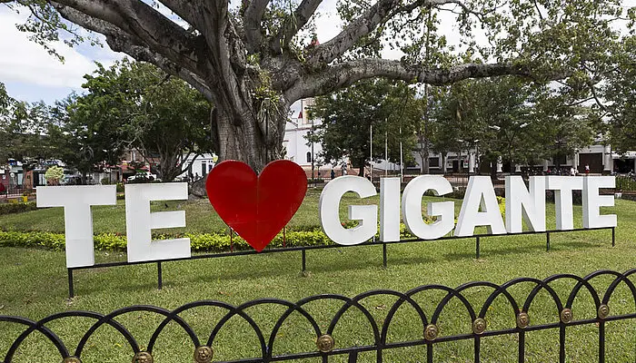 Pause in Gigante