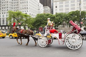 Pferdekutschen am Grand Army Plaza von New York