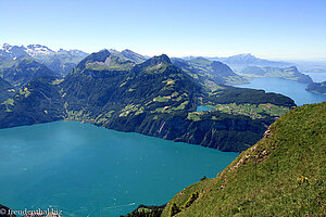 Ausblick vom Fronalpstock über den Urnersee zum Niederbauen-Chulm