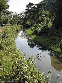 Wasserlauf bei den Karstfelsen von Vang Vieng