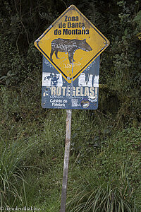 Region der Bergtapir im Puracé Nationalpark