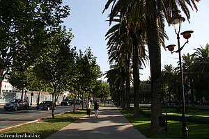 Avenue Hassan II. in Fès