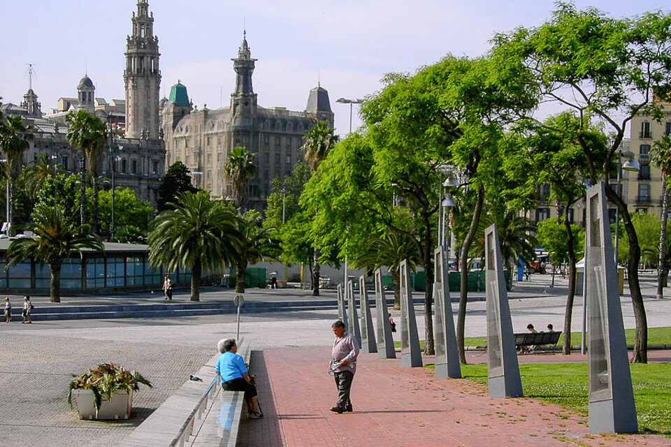 Bäume am Weg zum Hafen in Barcelona