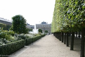 Allee nahe des Palais Royal