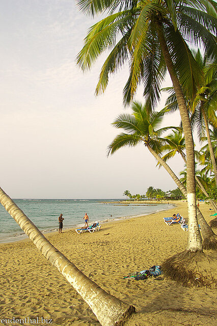 Costa Dorada, Strand bei Puerto Plata