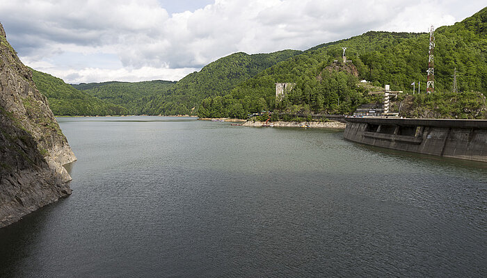 Bären am Vidraru-See