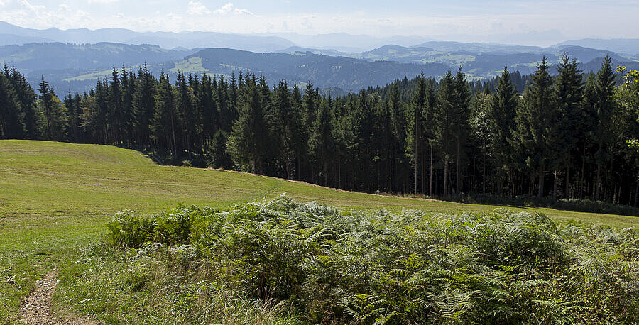 Aussicht von der Riedholzer Kugel