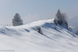 Schnee auf dem Morgartenberg