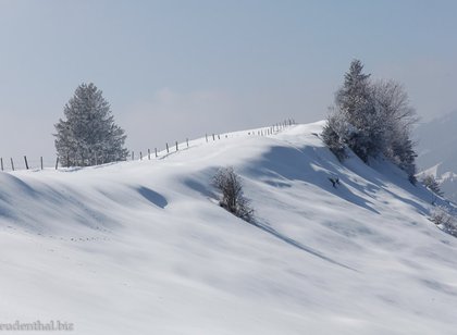 Winterliche Wanderung am Morgartenberg