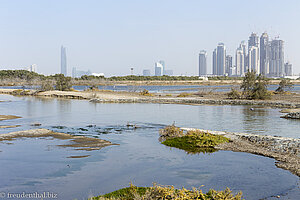 Ras al Khor und die Stadt Dubai dahinter