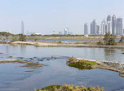 Lagune Ras al Khor bei Dubai