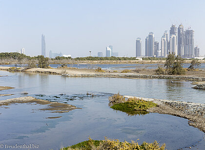 Lagune Ras al Khor bei Dubai