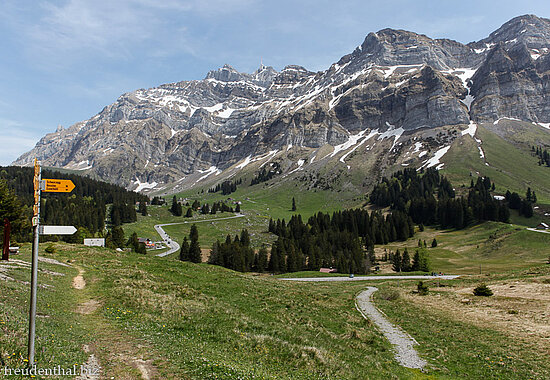 Blick über die Schwägalp zum Säntis