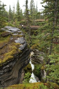 durch die Athabasca Falls entstandener Canyon