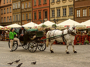 Kutsche am Altmarktplatz